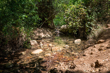 Amud Stream Nature Reserve in Northern Israel