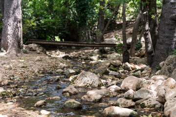 Amud Stream Nature Reserve in Northern Israel