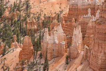 Bryce National Park