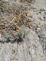 Ecuador Sierra Costa Oriente Naturaleza