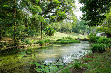 Beautiful pond in the Kuala Lumpur Perdana Botanical Gardens, it is Kuala Lumpur's first large-scale recreational park.