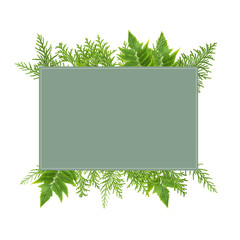 Fototapeta na wymiar square frame with green leaves, template 