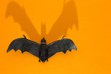 Halloween background concept. Minimal flat lay view of black bat graphic shadow on orange background