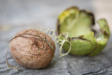 Ripening walnuts in shell. Fruit ready for harvesting on a wooden table.