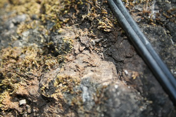 stone, texture, rock, granite, pattern, nature, abstract, surface, old, textured, wall, natural, ground, material, brown, backgrounds, rough, macro, black, soil, closeup, close-up, moss, grey, dry