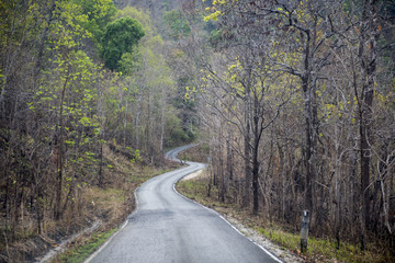 Road in the rural area in Thailand. 