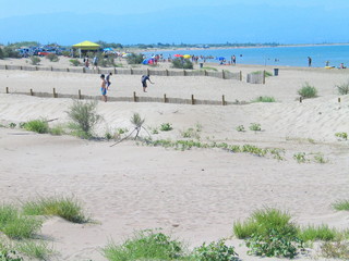 Delta del Ebro. Parque natural en Tarragona, Cataluña, España junto al mar mediterraneo