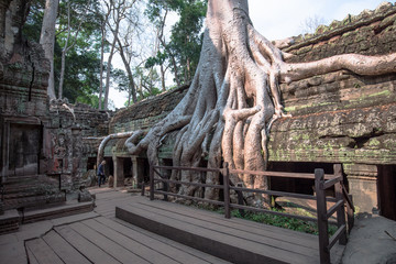 Fototapeta na wymiar Buddha Temple in the nature of cambodia