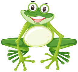 Happy frog on white background