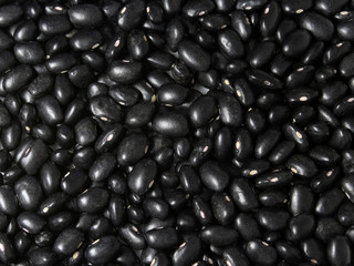 Black bean background