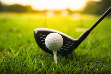 Golf club and ball in green grass.