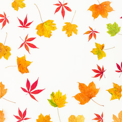Autumn round frame of fall yellow and red leaves on white background. Flat lay, top view.