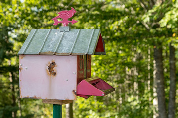 Old red birdfeeder