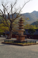 Dogapsa Buddhist Temple