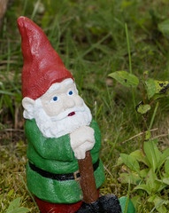 Obraz premium Garden gnome