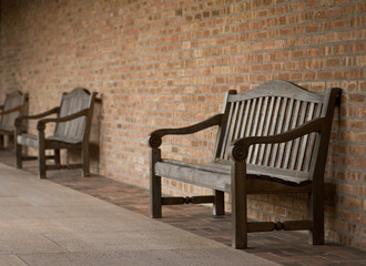Fototapeta na wymiar Perspective of diagonal row park benches in botanic garden