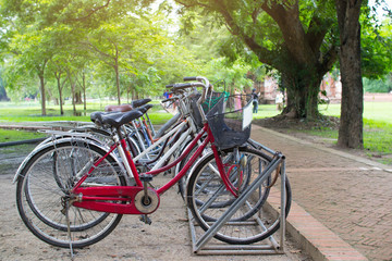 Fototapeta na wymiar Bicycle parked In the garden.