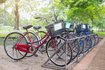 Fototapeta na wymiar Bicycle parked In the garden.