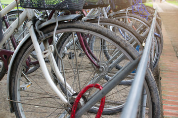 Bicycle parked In the garden.