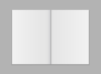 Blank open magazine template