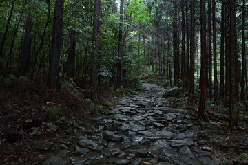 熊野古道