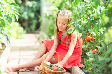 Cute little girl collects crop cucumbers and tomatos in greenhouse