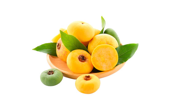 diospyros decandra lour on white background