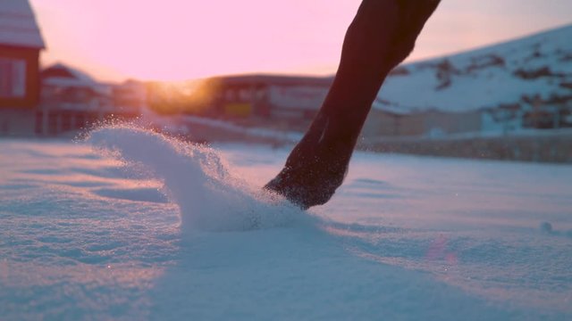 SLOW MOTION, CLOSE UP, DOF: Detail of dark horse walking trough deep snow blanket at winter sunset. Horse legs walking in fresh snow on winter morning. Black horse legs and hoofs on snowy field