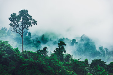 Mountains with dense fog