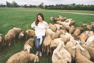 An asian woman standing among the sheep in green grass field at countryside farm