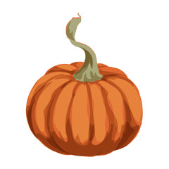Big orange pumpkin isolated on white background. Vector autumn collection. Garden vegetables harvest. Halloween theme.