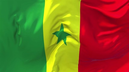 238. Senegal Flag Waving in Wind Slow Motion Animation . 4K Realistic Fabric Texture Flag Smooth Blowing on a windy day Continuous Seamless Loop Background.
