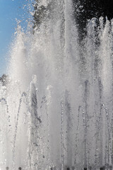 Obraz na płótnie Canvas Beautiful fountain in the summer flower park.
