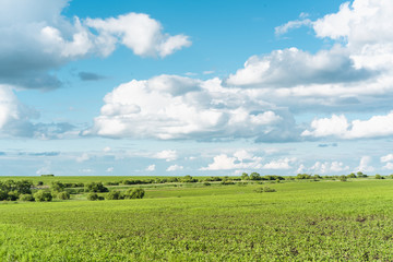 Clouds in blue skies and green grass beneath