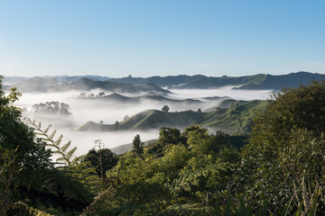 Landscape from the Tahora Saddle in Taranaki, New Zealand, at dawn showing the green hilly farmland, trees and mist in the valleys.