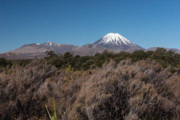 Snow covered Mounts Ngauruhoe and Tongariro, two active volcanos on the Central Plateau of the...