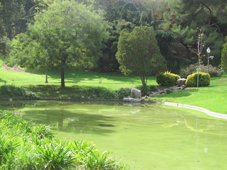 Beautiful scenery with southern trees and plants, park in Barcelona