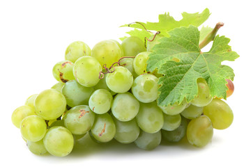 Grapes on a white background