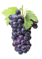 Grapes on a white background