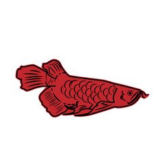 Arowana fish vector