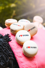I love pomeranian macarones