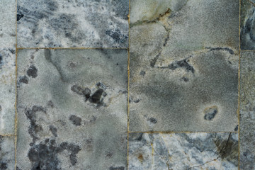 Pattern of marble floor