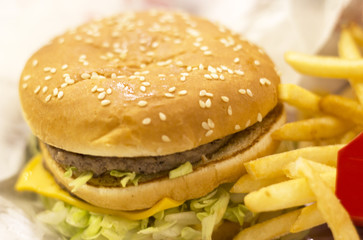 fresh tasty burger and french fries close-up