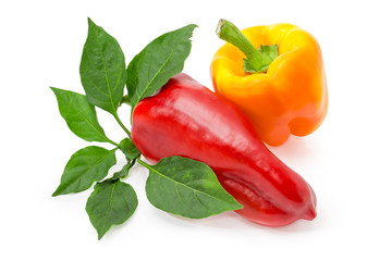 Two red and yellow bell peppers and twig with leaves