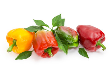 Varicolored bell peppers, twig and leaves on white background