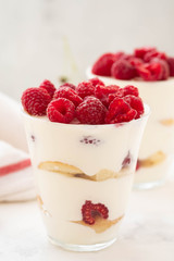 Raspberry dessert, cheesecake, raspberry tiramisu, trifle, mousse in a glass on a white background.