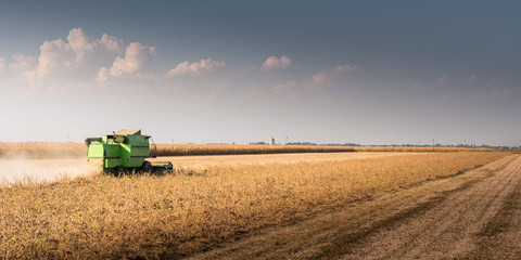 Harvesting of soybean field with combine