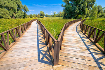 Obraz premium Kopacki Rit marshes nature park wooden boardwalk view