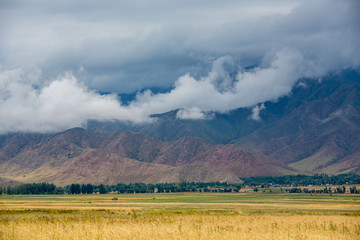 Beautiful field of different colors, view of the mountains