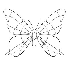  insect butterfly sketch